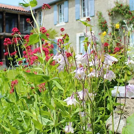 Maison De 4 Chambres Avec Jardin Amenage Et Wifi A De Neste Holiday home *
